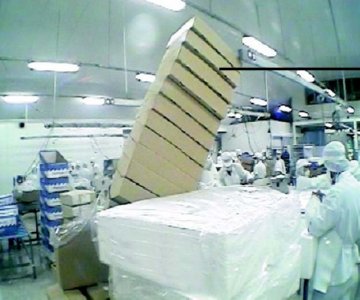 industria salmon (45)  ALIMENTOS MERCADO